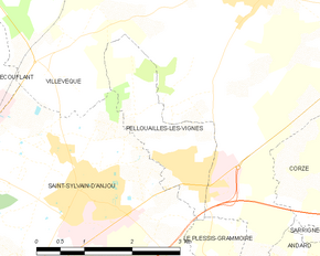 Poziția localității Pellouailles-les-Vignes