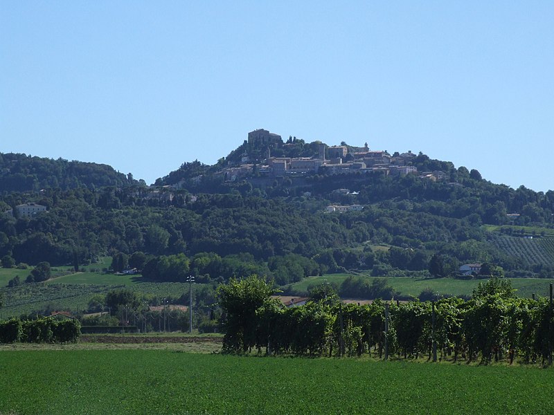 File:Bertinoro - veduta 04.jpg