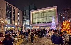 Tree lighting at the Winter Wonderland