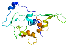 Protein IGFBP4 PDB 1wqj.png