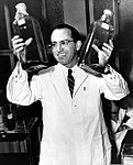 Jonas Salk 1955 vid University of Pittsburgh där han utvecklade poliovaccinet.