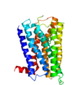 Histamin-H1-Rezeptor