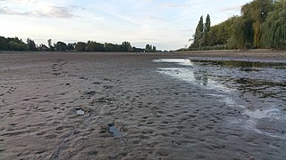 Allier à Vichy lors de la vidange du lac d'Allier.jpg