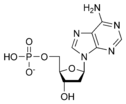 Χημική δομή της Μονοφωσφορικής δεοξυαδενοσίνης