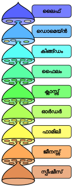 മലയാളം