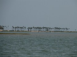 Barrier Islands separating Pulicat lake from خلیج بنگال