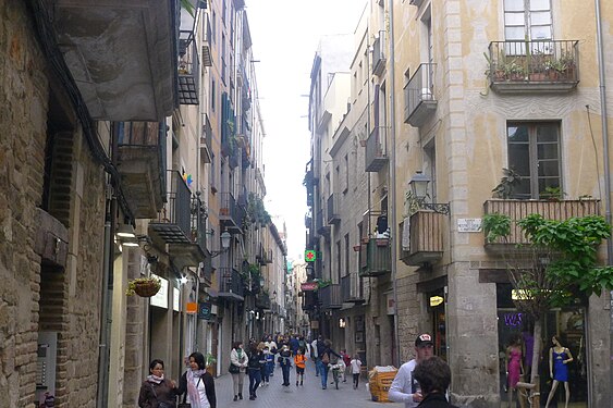 Street with balconies, Barcelona, Spain