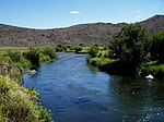 A small river flowing through grassland