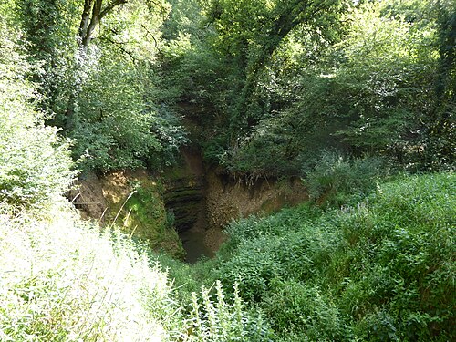 Deuille de Crézilles, résurgence de l'Aroffe, à sec en été (Crézilles, Lorraine, France)