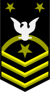 E-9 Fleet/Force Master Chief Petty Officer (FLTCM/FORCM)