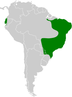 Distribución geográfica de la viudita enmascarada.