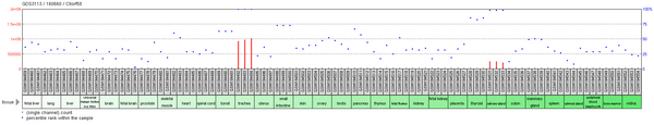 Tissue expression profile of C6orf58