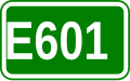 E601 shield