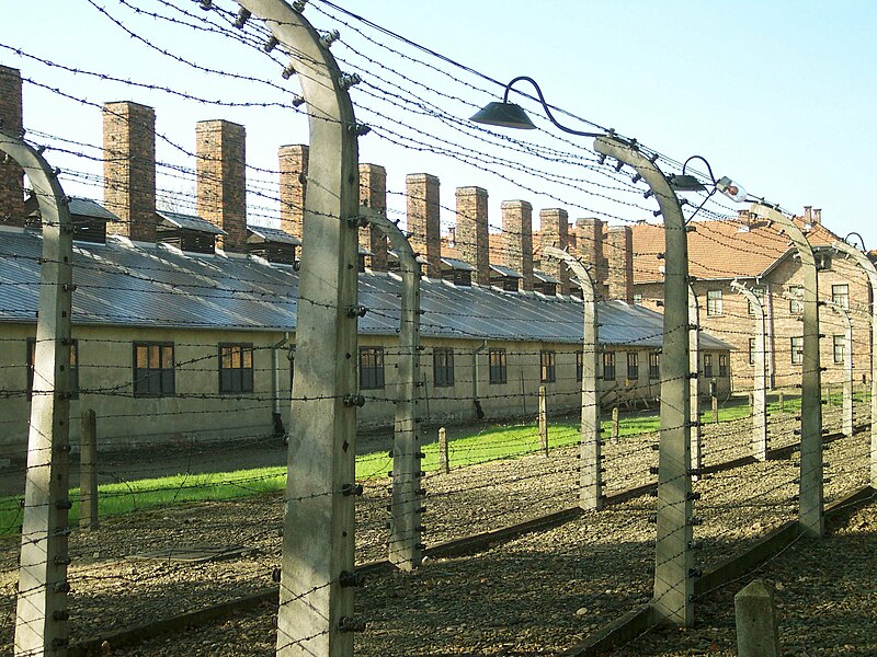 File:Barbed wire near by the entrance of Auschwitz I.jpg