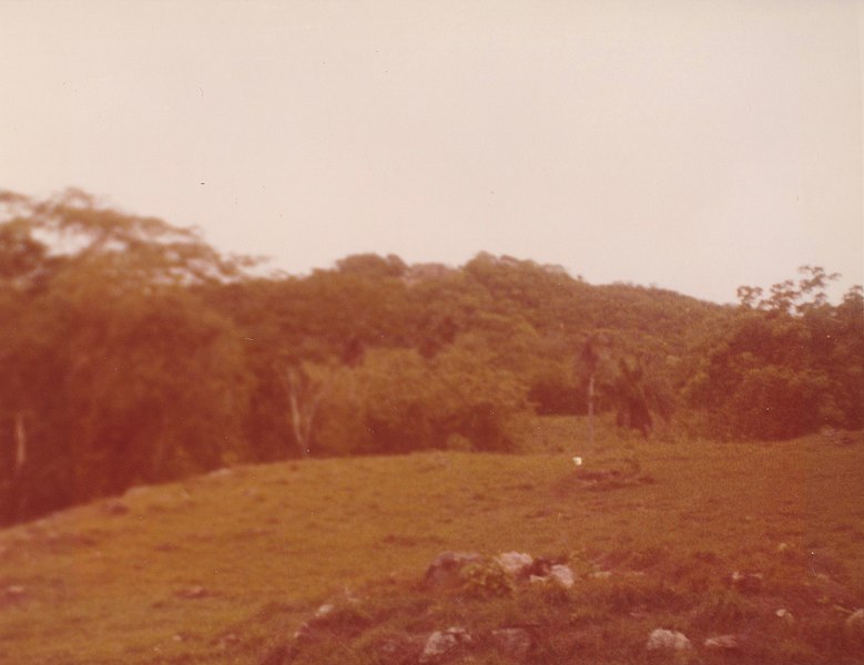 File:Chacmultun Maya site 1981.jpg