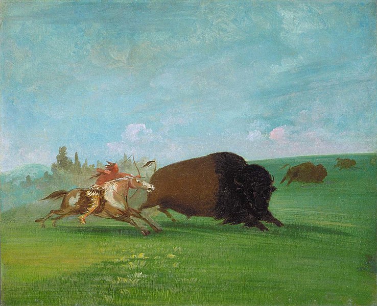 File:George Catlin - Buffalo Chase, a Single Death - 1985.66.408 - Smithsonian American Art Museum.jpg