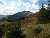 Jöchelspitze (2226 m)