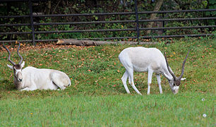 Au zoo de Prague.