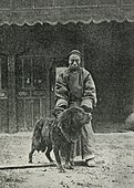Tibetan Mastiff with its owner in 1911