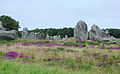 Alignement de Kermario, à Carnac.