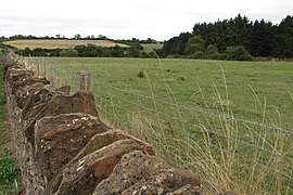 Field by The Old Farm - geograph.org.uk - 5887101.jpg