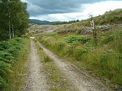 Forestry operations - geograph.org.uk - 207224.jpg