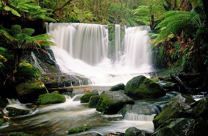 File:Horseshoe falls fw.jpg