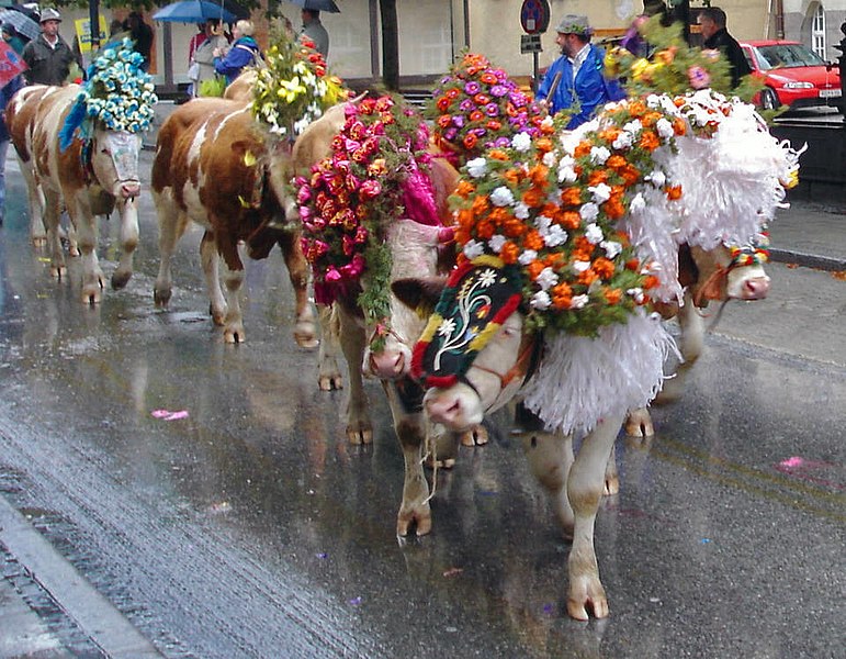 File:Kufstein Almabtrieb 2005.jpg