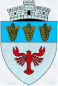 Wappen von Răcășdia