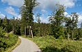 * Nomination between Kröftel and Glashütten in Hessen, cycle track through the forest --Michielverbeek 05:31, 30 October 2024 (UTC) * Promotion Good quality. --Cayambe 10:46, 3 November 2024 (UTC)