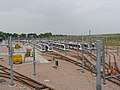 Eastern end of the northern sidings (from Myreton Drive bridge)