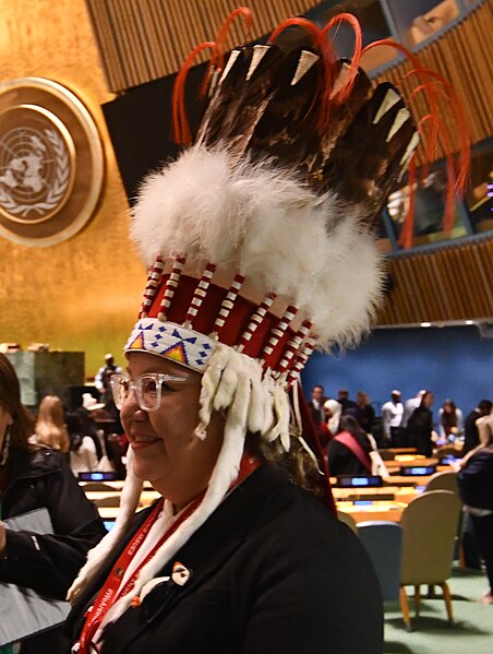 File:Woman with headdress in New York City at the United Nation’s 23rd Permanent Forum on Indigenous Issues on 15 April 2024 (cropped).jpg