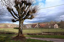 Gezicht op Bellenot-sous-Pouilly