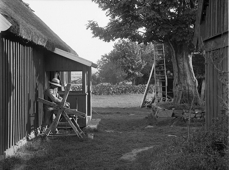 File:En man arbetar vid en slipsten mellan två hus. Stort träd. Björsgård, Asige sn, Årstads hd, Halland - Nordiska Museet - NMA.0052603.jpg