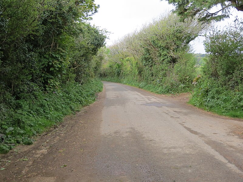 File:Lesingey Lane near the entrance to Lesingey - geograph.org.uk - 5384617.jpg