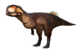 Psittacosaurus sibiricus 2.png