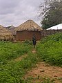 A boy in Maru Local Government Area