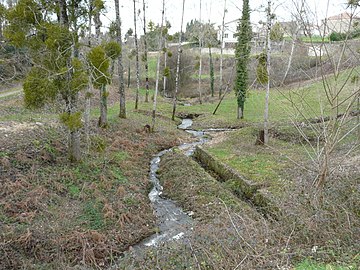 Les exutoires de l'étang de Pouyol, au sud-est du bourg de Champniers.