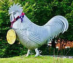 Dorking cockerel