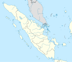 Restorasi Ekosistem Riau di Sumatra