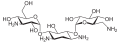 Kanamycin A