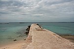 Platja des Port (ses Salines)