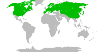 Carte du monde avec larges zones vertes couvrant presque tout l'hémisphère nord.