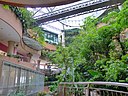 ☎∈ Rainforest precinct of 1 Utama shopping mall.