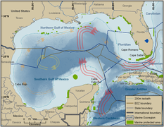 Marine Environments & Legal Borders Within the Gulf of Mexico.png