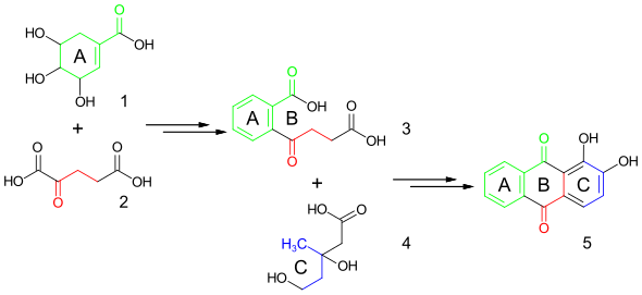 Biosynthese von Alizarin aus Shikimisäure, α-Ketoglutarsäure und Mevalonsäure