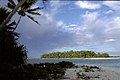 Image 2Fualifeke Islet (from Coral reefs of Tuvalu)