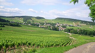 Vineyards at Mercurey.