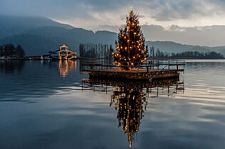 Christmas tree in lake, Austria