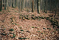 Limeswachturm Wp 14/77, Zustand Januar 1993, Rätischer Limes, Bayern